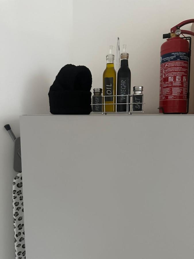 Klimatisiertes Dachgeschoss City Apartment In Zentrum Wiens מראה חיצוני תמונה