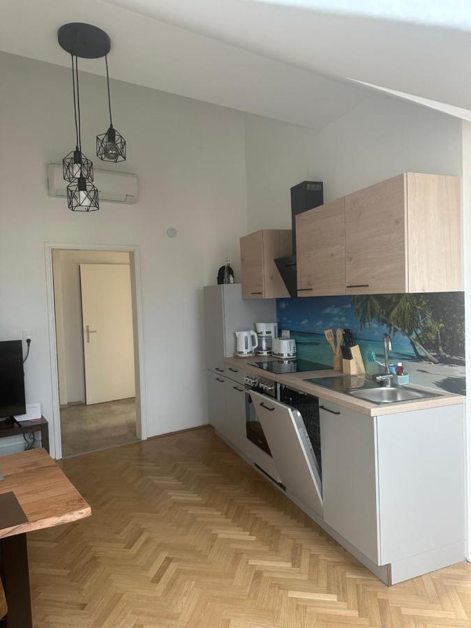 Klimatisiertes Dachgeschoss City Apartment In Zentrum Wiens מראה חיצוני תמונה
