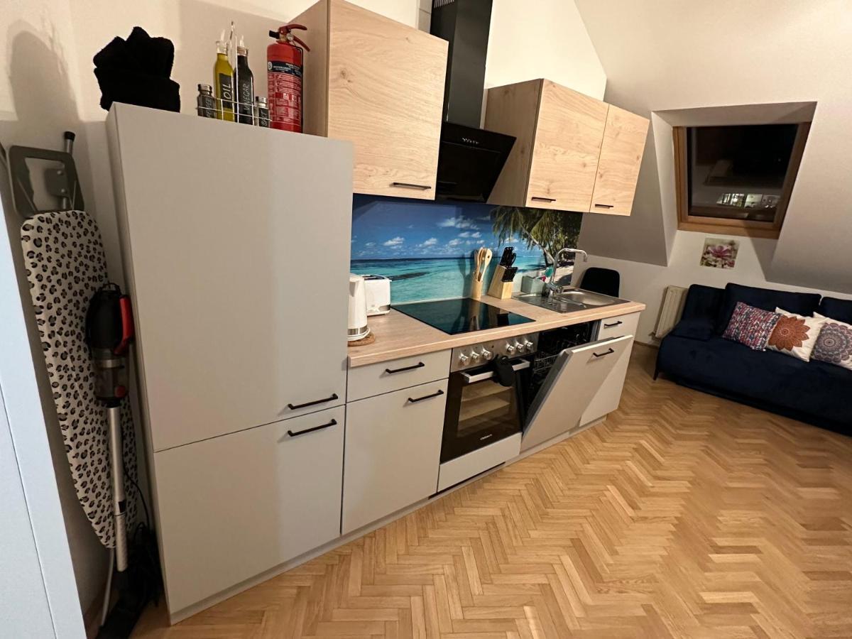 Klimatisiertes Dachgeschoss City Apartment In Zentrum Wiens מראה חיצוני תמונה