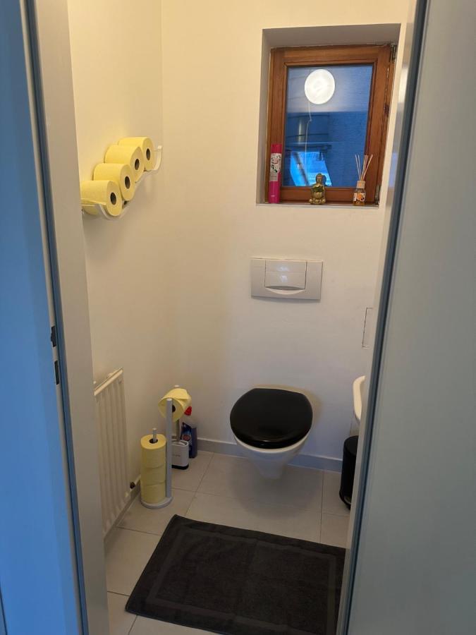 Klimatisiertes Dachgeschoss City Apartment In Zentrum Wiens מראה חיצוני תמונה